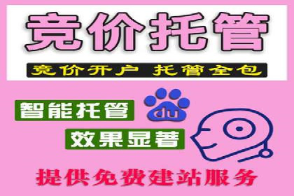 SEM竞价员的核心技能与成功案例解析